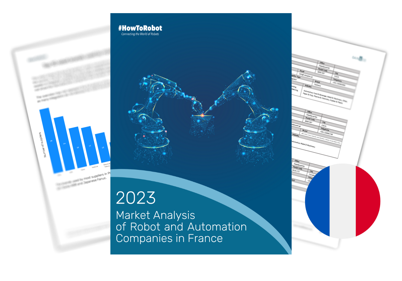 Market Report of Robot and Automation Companies in France