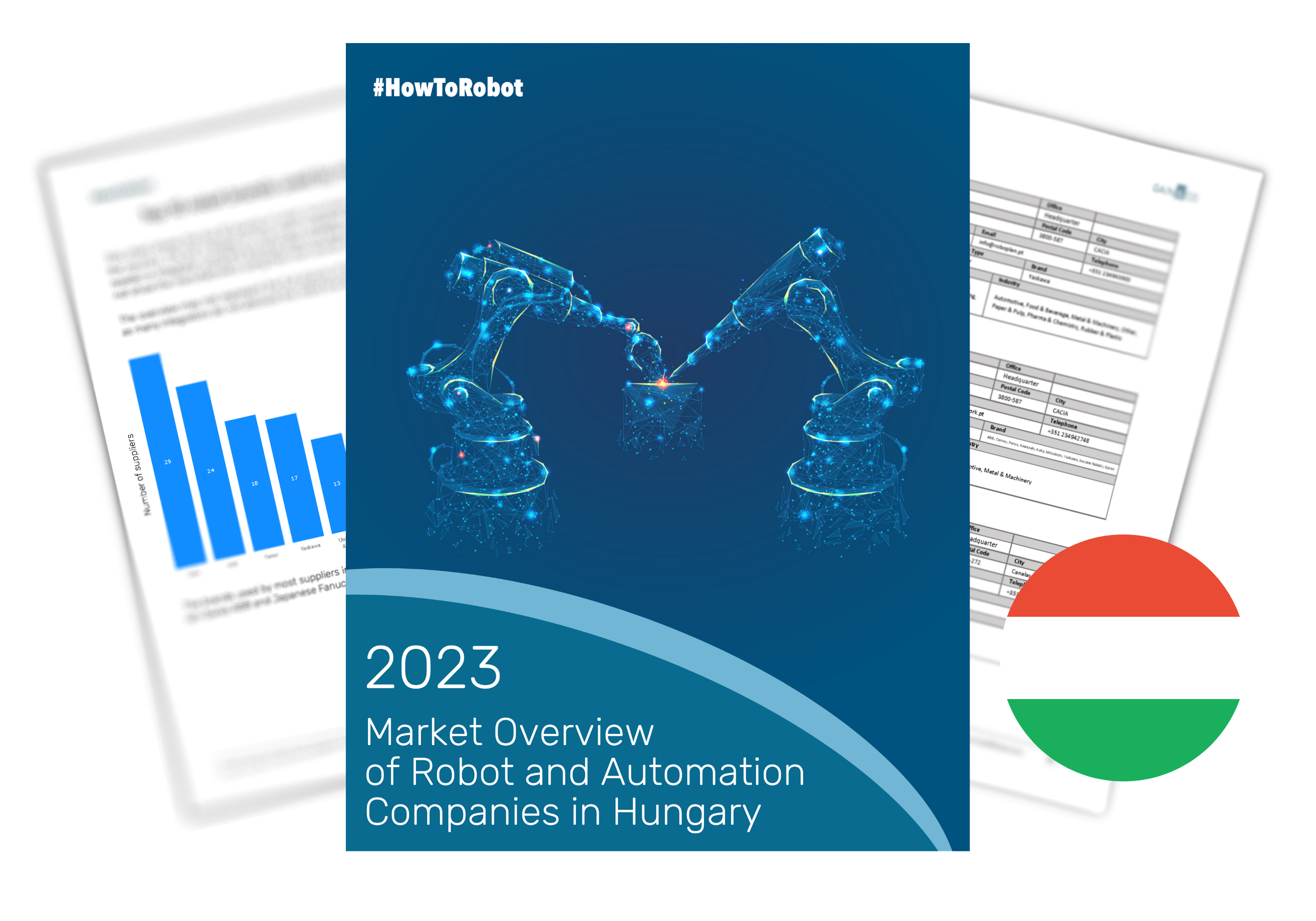 Market Overview of Robot and Automation Companies in Hungary