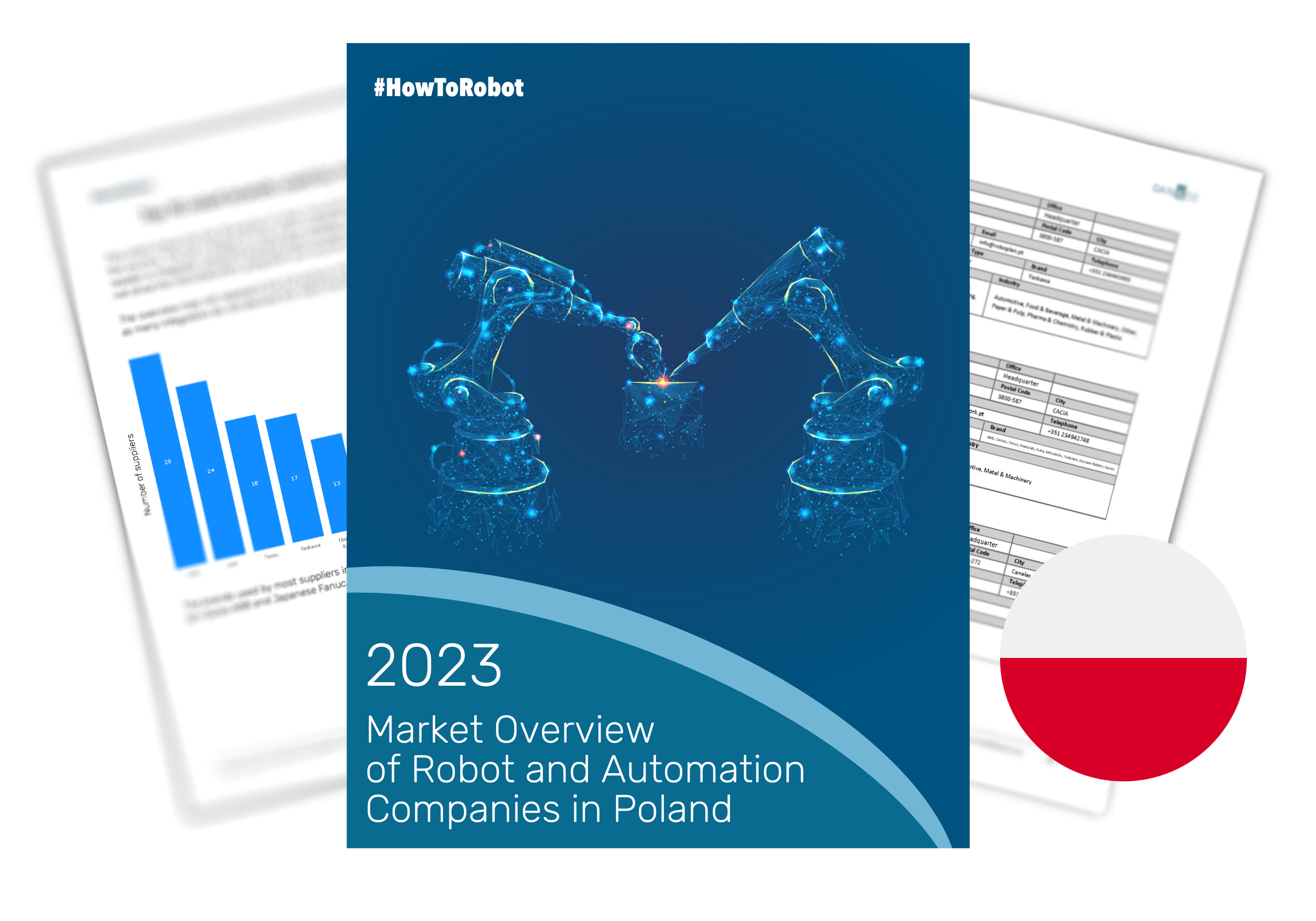 Market Overview of Robot and Automation Companies in Poland