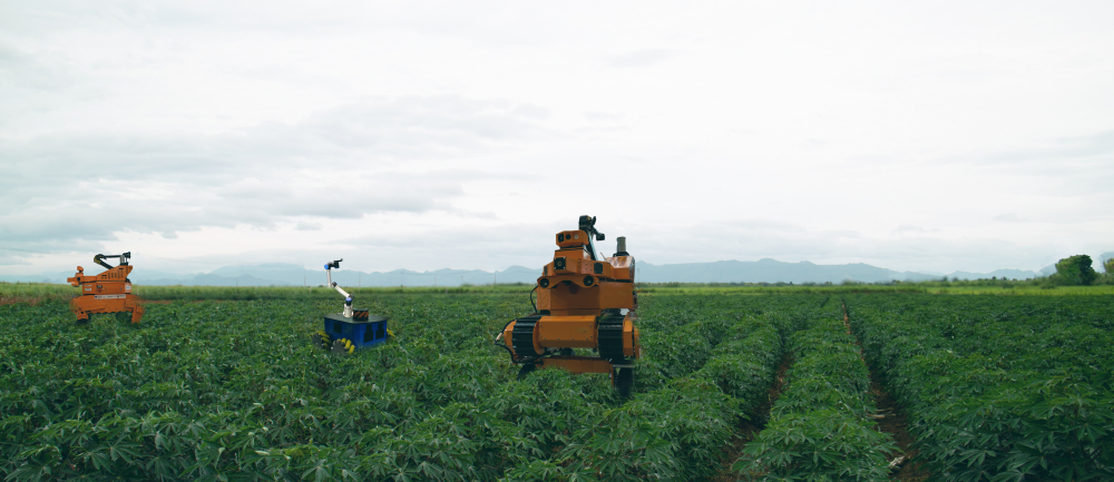 Agricultural weeding robot operating autonomously in a lush green field of crops arranged in neat rows