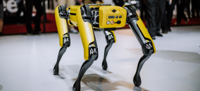 Quadruped robot Spot from Boston Dynamics