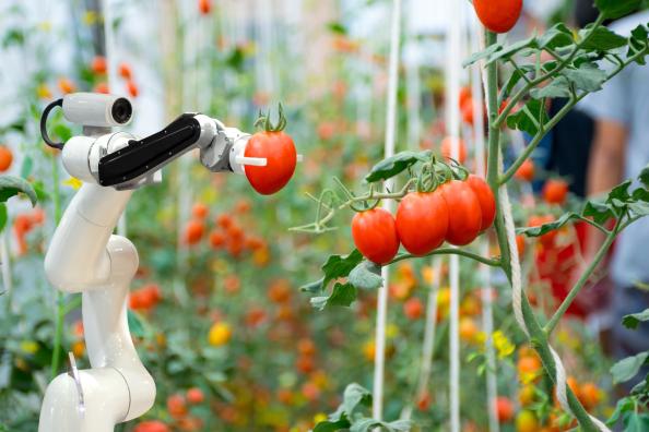 agriculture robot